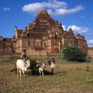 Burma Bagan DP980369 © Marilène Dubois 1998